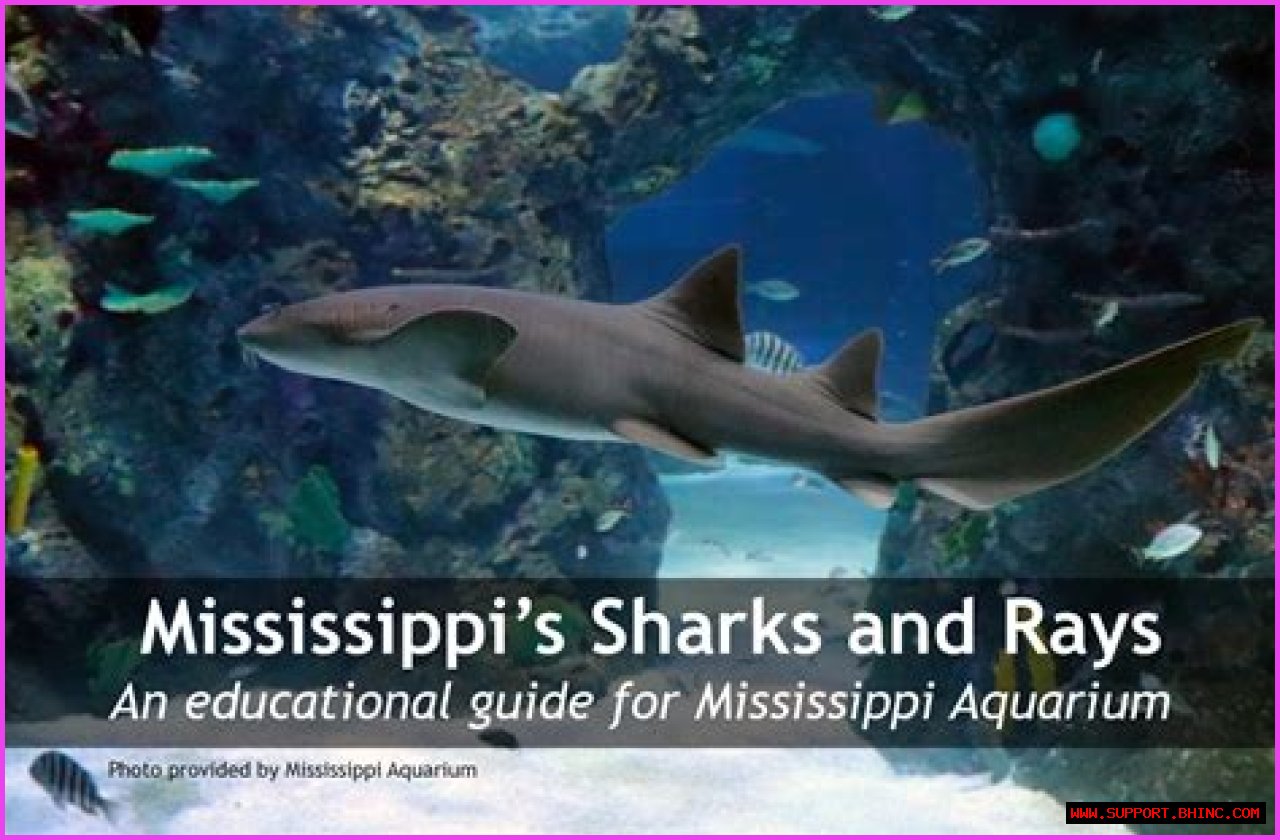 Mississippi’s Sharks and Rays | Mississippi State University Extension Service